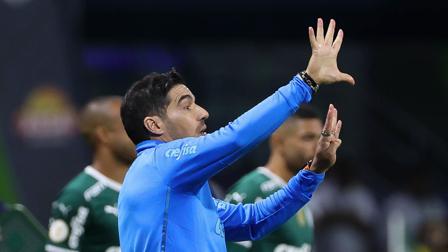 Palmeiras tem três novos desfalques confirmados