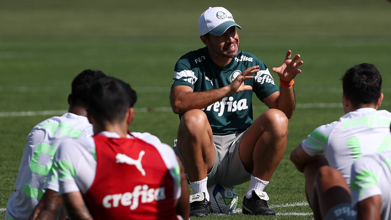 Cesar Greco / Palmeiras