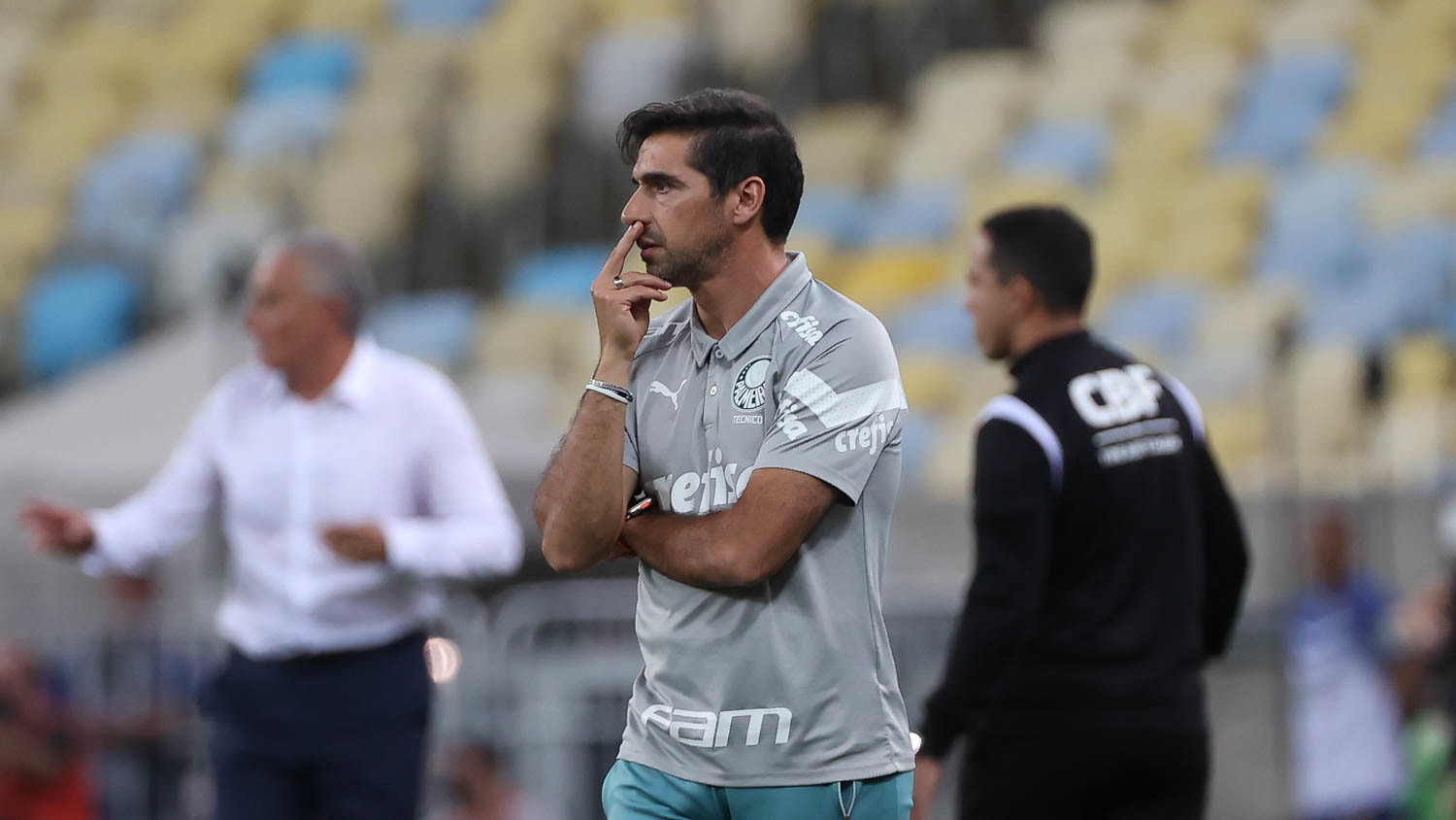 Cesar Greco / Palmeiras