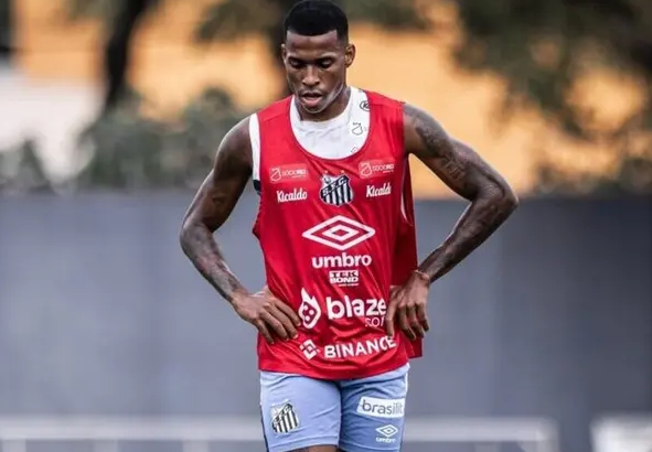 Foto: Raul Baretta/Santos FC