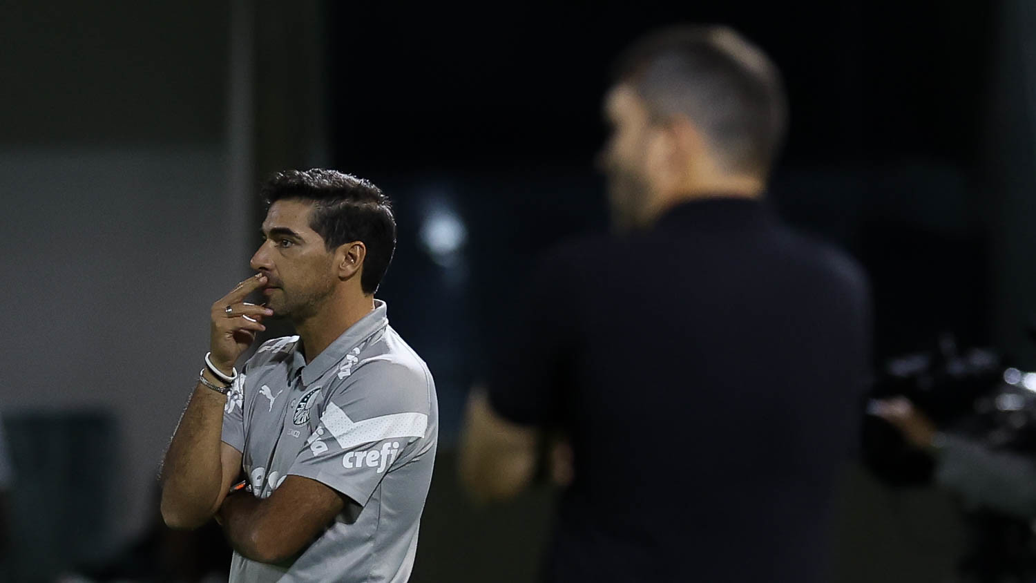 Cesar Greco/Palmeiras