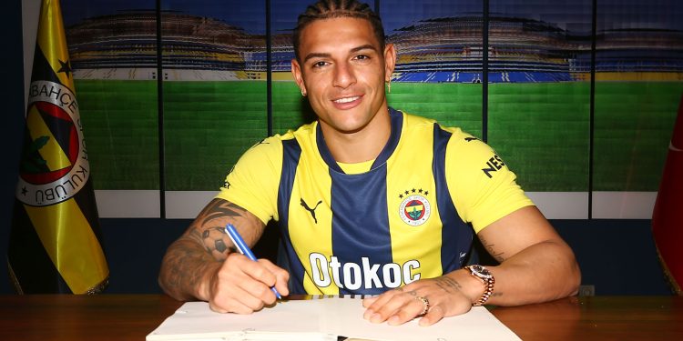 Divulgação / Fenerbahçe
