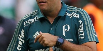 Estatísticas animadoras chegada novo inter