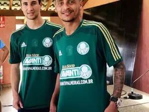 Passagem alan patrick palmeiras